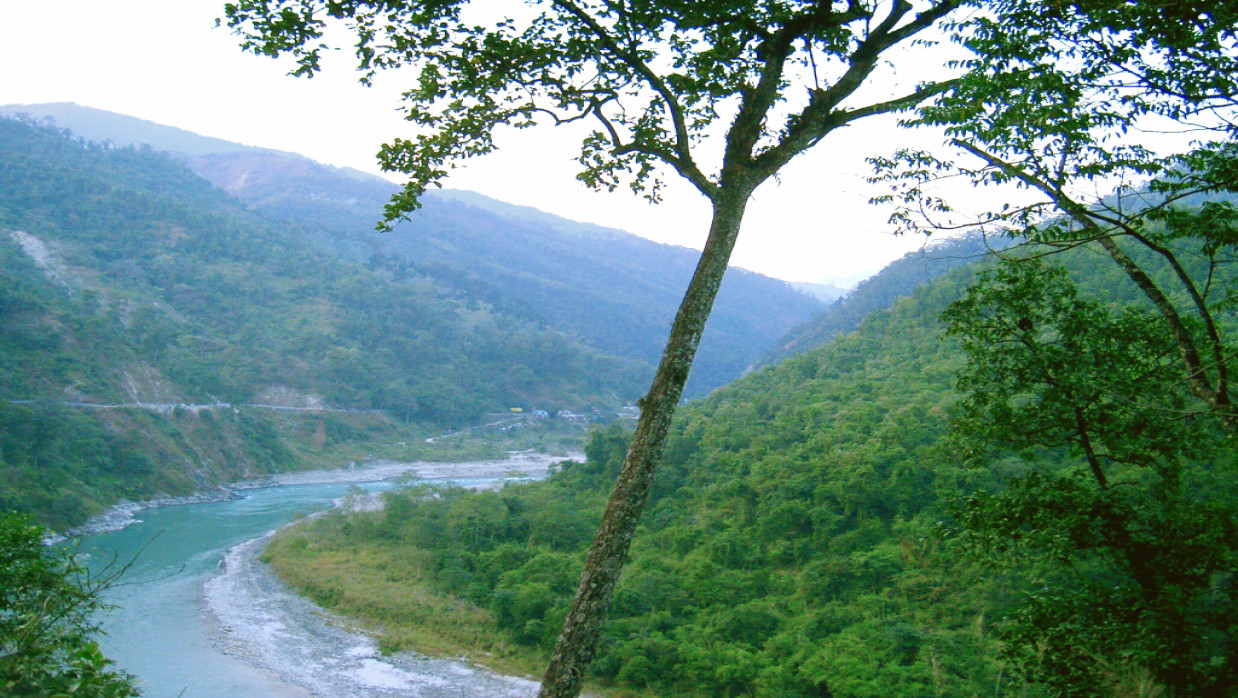 Image description